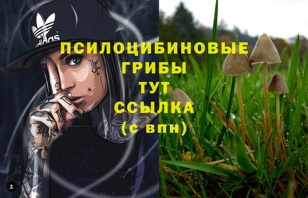 a pvp Волосово